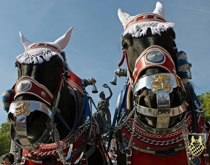 Wiesn shuttle Service