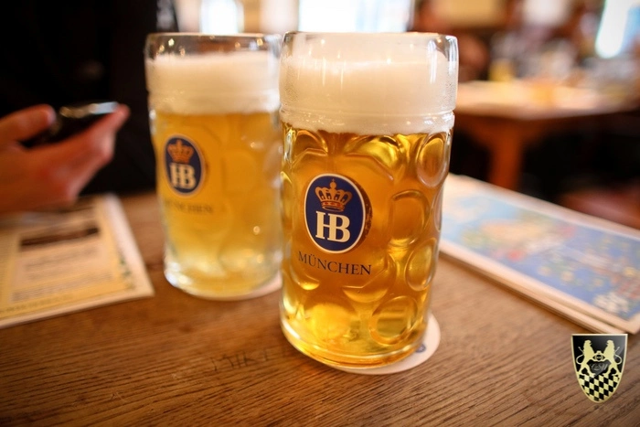 Oktoberfest Dirndl 2025