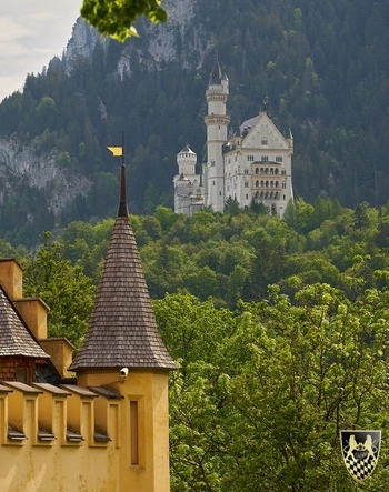 Carriage ride to Castle Neuschwanstein with guide
