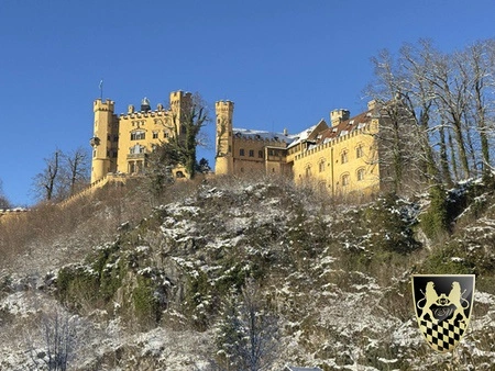 Castle tour from munich private driver